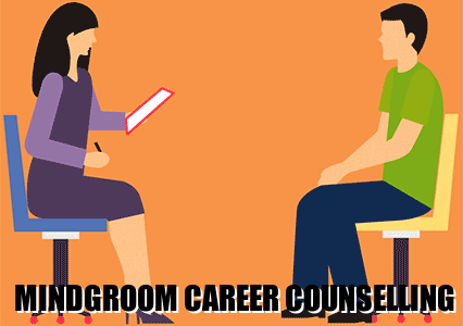 Career Counsellor providing career counselling to a person